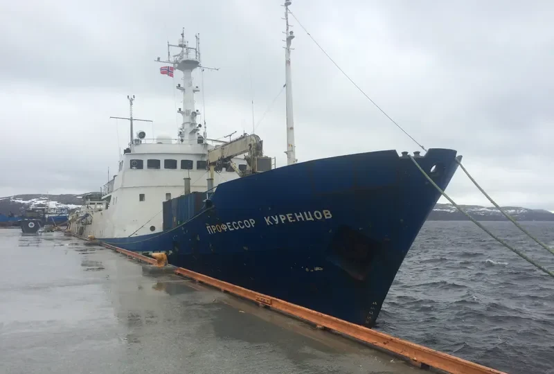 PROFESSOR KURENTSOV General Cargo IMO 7406136