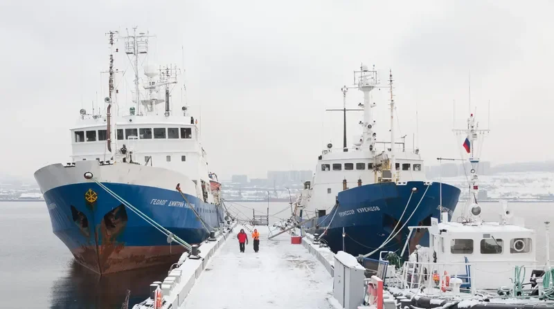 PROFESSOR KURENTSOV General Cargo IMO 7406136 photo 3