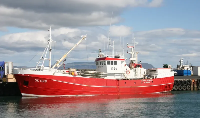 STEINI SIGVALDA General Cargo IMO 7406356 photo 5