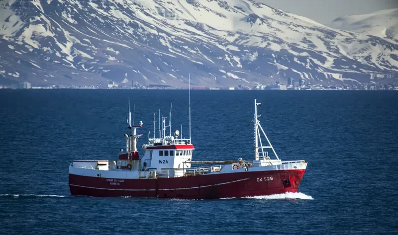 STEINI SIGVALDA General Cargo IMO 7406356 photo 7