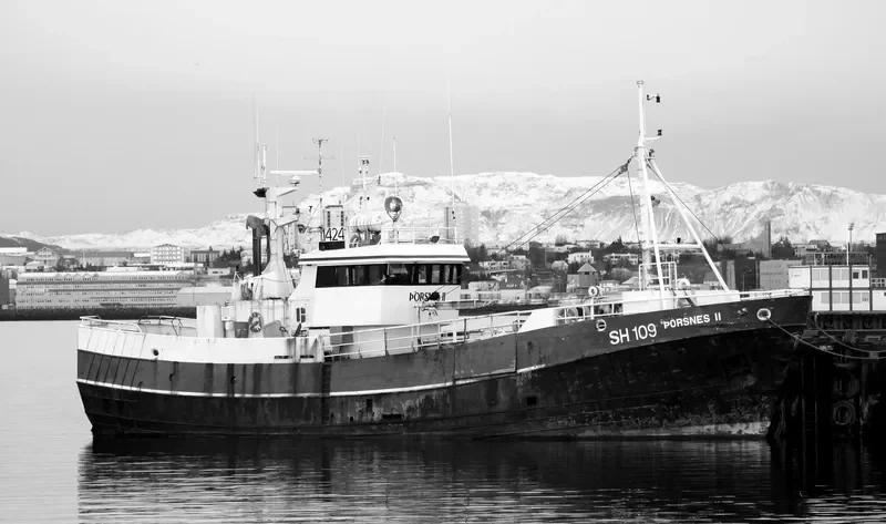 STEINI SIGVALDA General Cargo IMO 7406356 photo 8