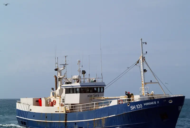 STEINI SIGVALDA General Cargo IMO 7406356 photo 10