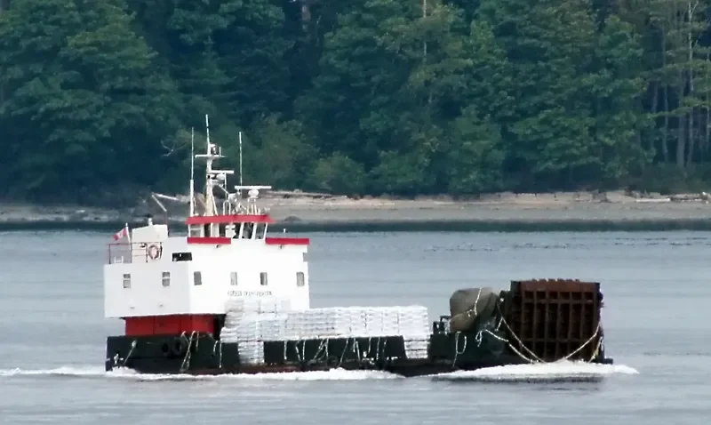 FOREST TRANSPORTER General Cargo IMO 7406590 photo 2
