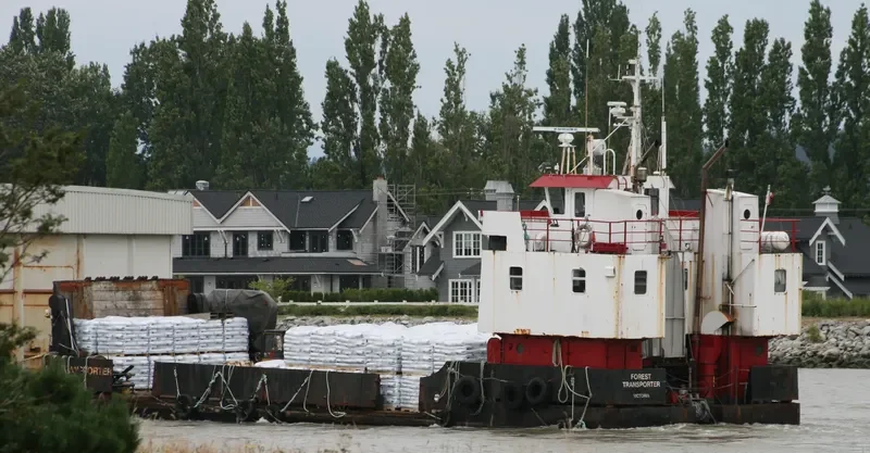 FOREST TRANSPORTER General Cargo IMO 7406590 photo 3