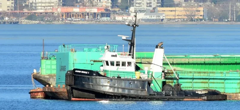 ALISON NICOLE 1 Tug Boat IMO 7406681 photo 6