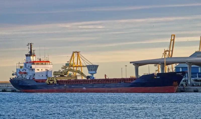 TRI BAY General Cargo IMO 7406734