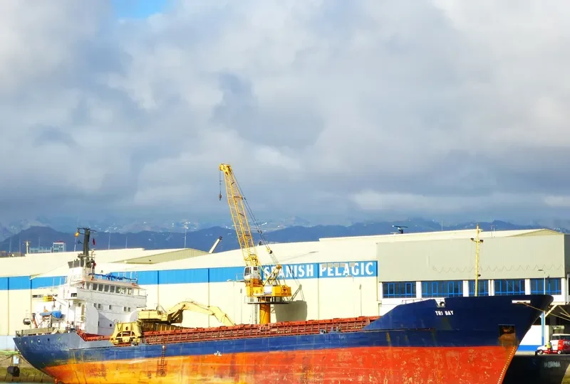 TRI BAY General Cargo IMO 7406734 photo 5