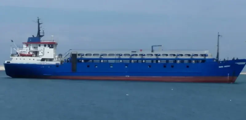 ELENA General Cargo IMO 7406772