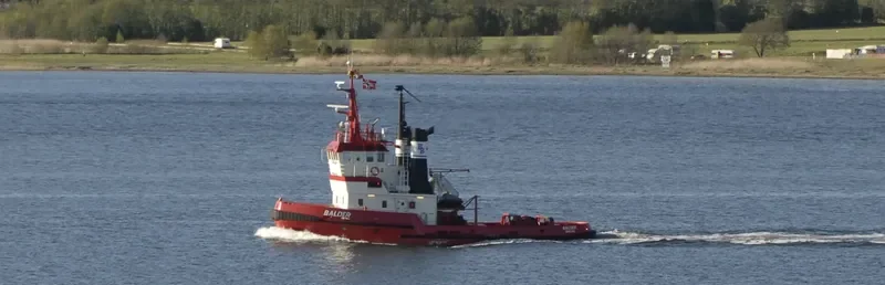 BALDER Tug Boat IMO 7406930 photo 10