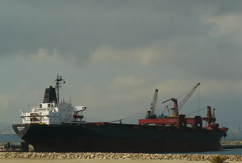 WARSAW Bulk Carrier IMO 7407013 photo 2