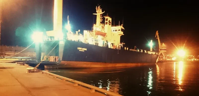 TOROS Ro-Ro IMO 7407037 photo 2