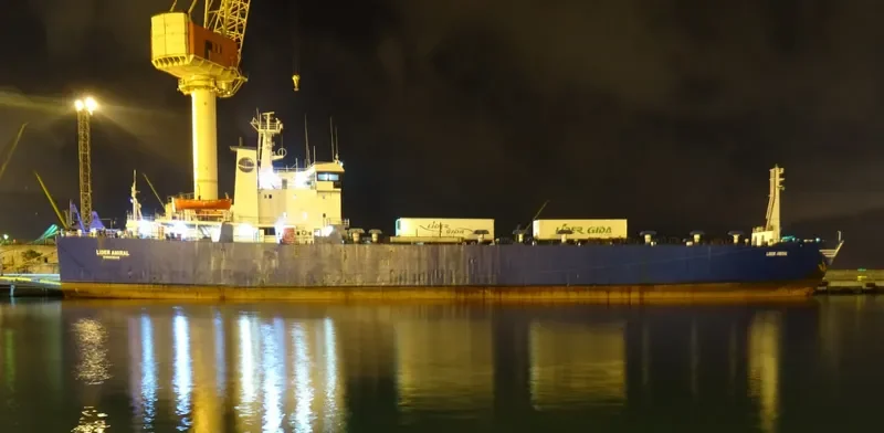 TOROS Ro-Ro IMO 7407037 photo 3