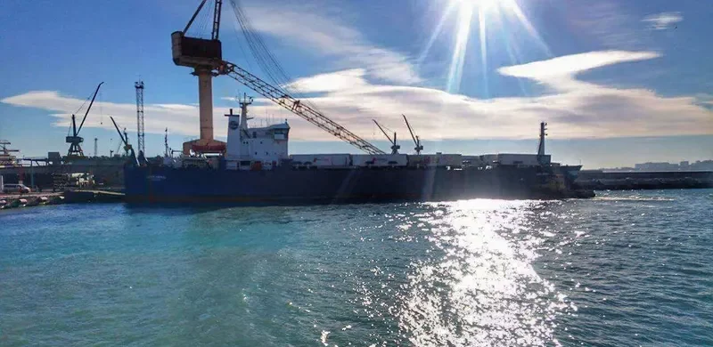 TOROS Ro-Ro IMO 7407037 photo 8