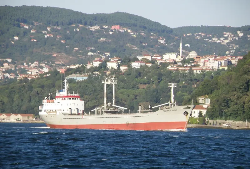 MEHMET AKIN General Cargo IMO 7407219 photo 9