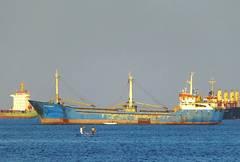 DOLUNAY General Cargo IMO 7407245