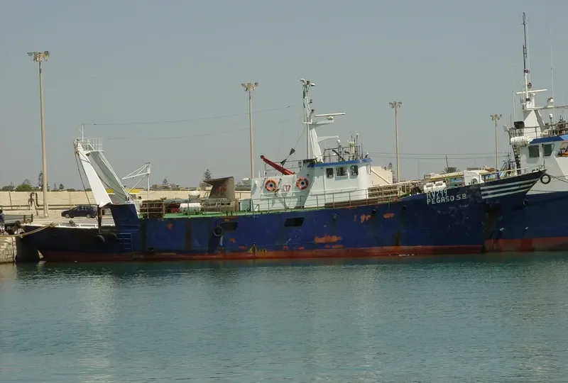 PEGASO S.B. General Cargo IMO 7407415