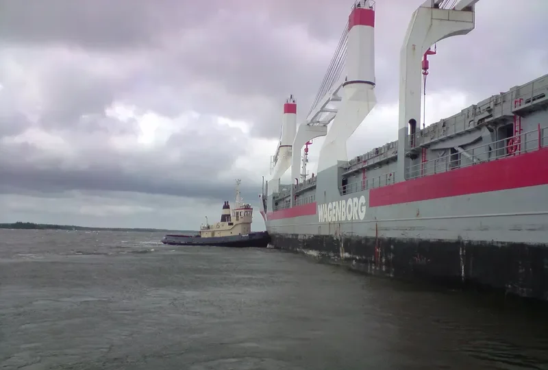 CETUS General Cargo IMO 7407568 photo 8
