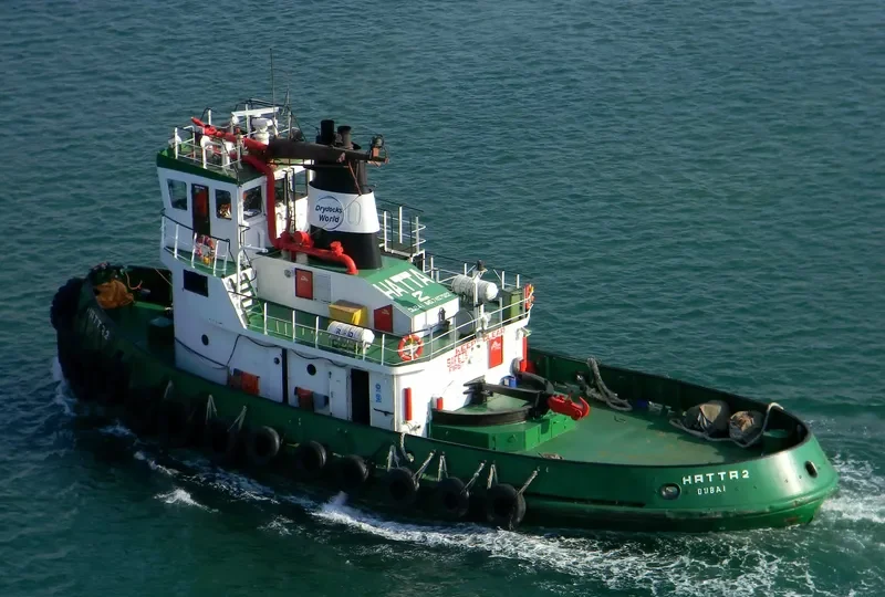 HATTA 2 Tug Boat IMO 7407582 photo 6