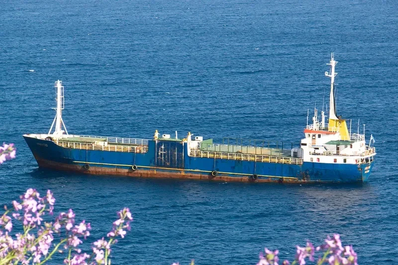 AVANTIS General Cargo IMO 7407764