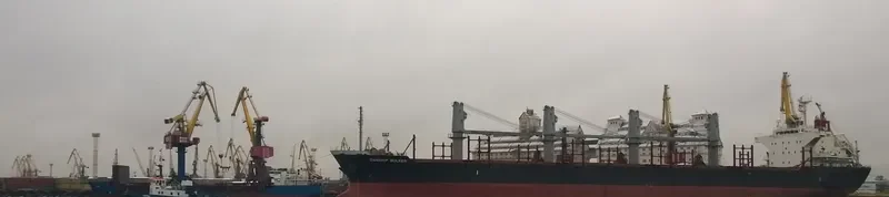 TAYFUN Tug Boat IMO 7407829