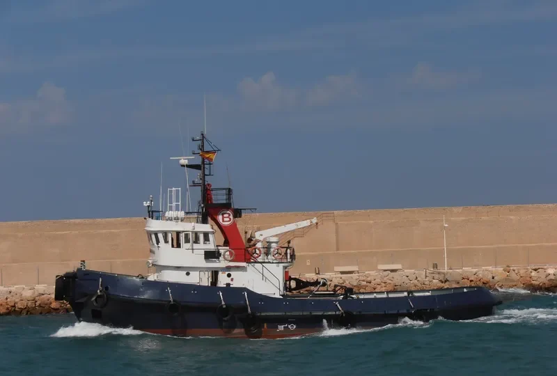 BOLUDA TRAMONTANA General Cargo IMO 7408500 photo 3