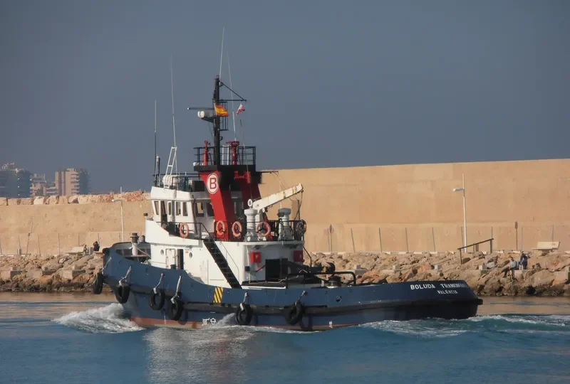 BOLUDA TRAMONTANA General Cargo IMO 7408500 photo 5
