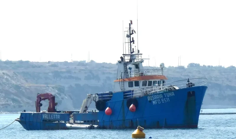 ROSARIA TUNA General Cargo IMO 7409310