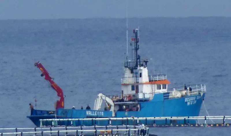 ROSARIA TUNA General Cargo IMO 7409310 photo 5