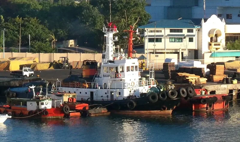 BAUAN General Cargo IMO 7409968