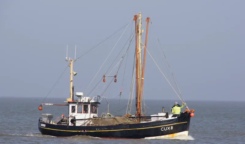 TINTA Fishing Vessel IMO 7410199