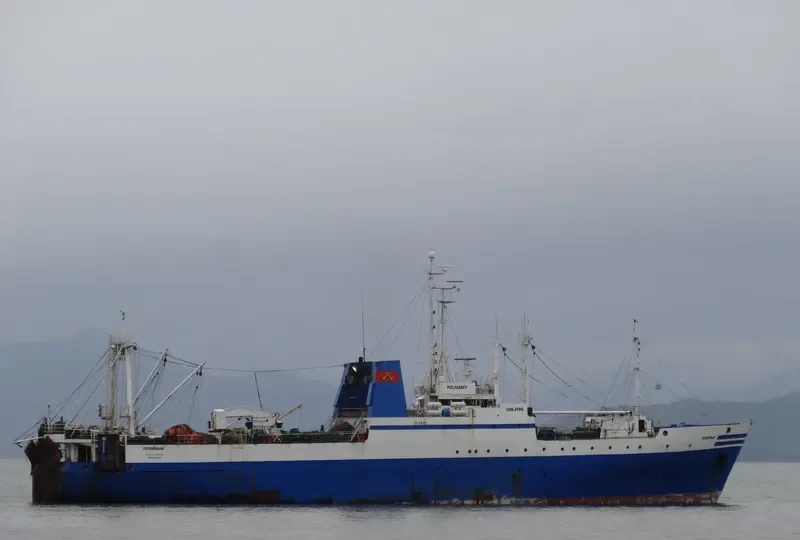 POLYARNIY General Cargo IMO 7410204 photo 2