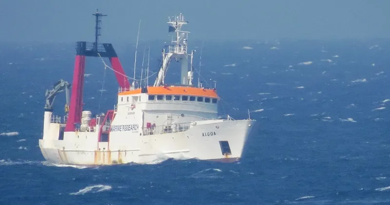 ALGOA General Cargo IMO 7410369