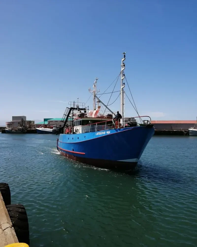 LOCQUERAN Fishing Vessel IMO 7410400 photo 5