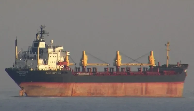 GEORGIOS III Bulk Carrier IMO 7410797 photo 3