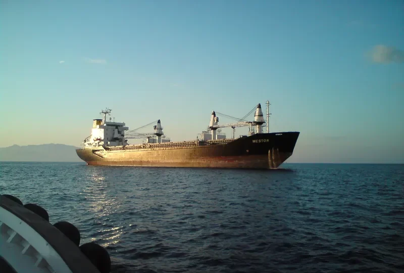 WESTON General Cargo IMO 7410814 photo 9