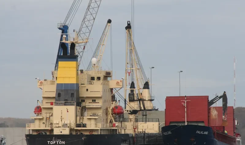 TOFTON General Cargo IMO 7410826 photo 8