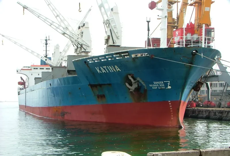 KATINA Bulk Carrier IMO 7410852 photo 2