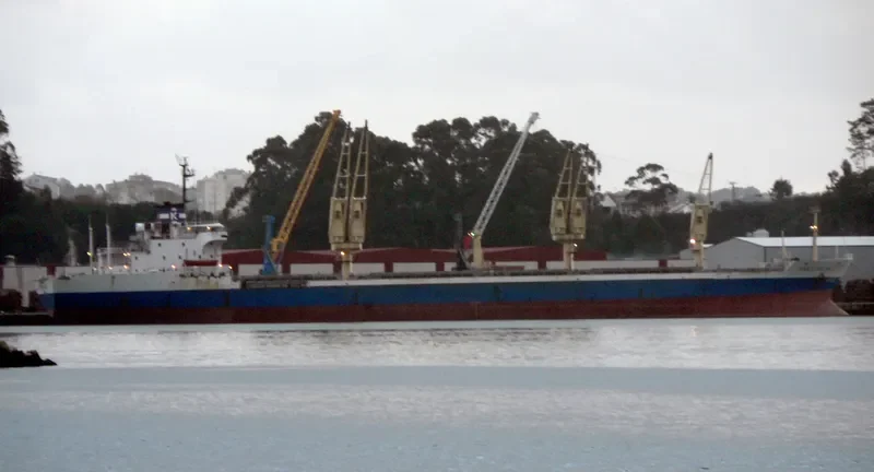 ANASTASIA Bulk Carrier IMO 7410864