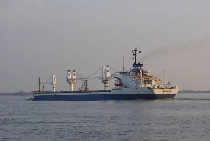 ANASTASIA Bulk Carrier IMO 7410864 photo 3