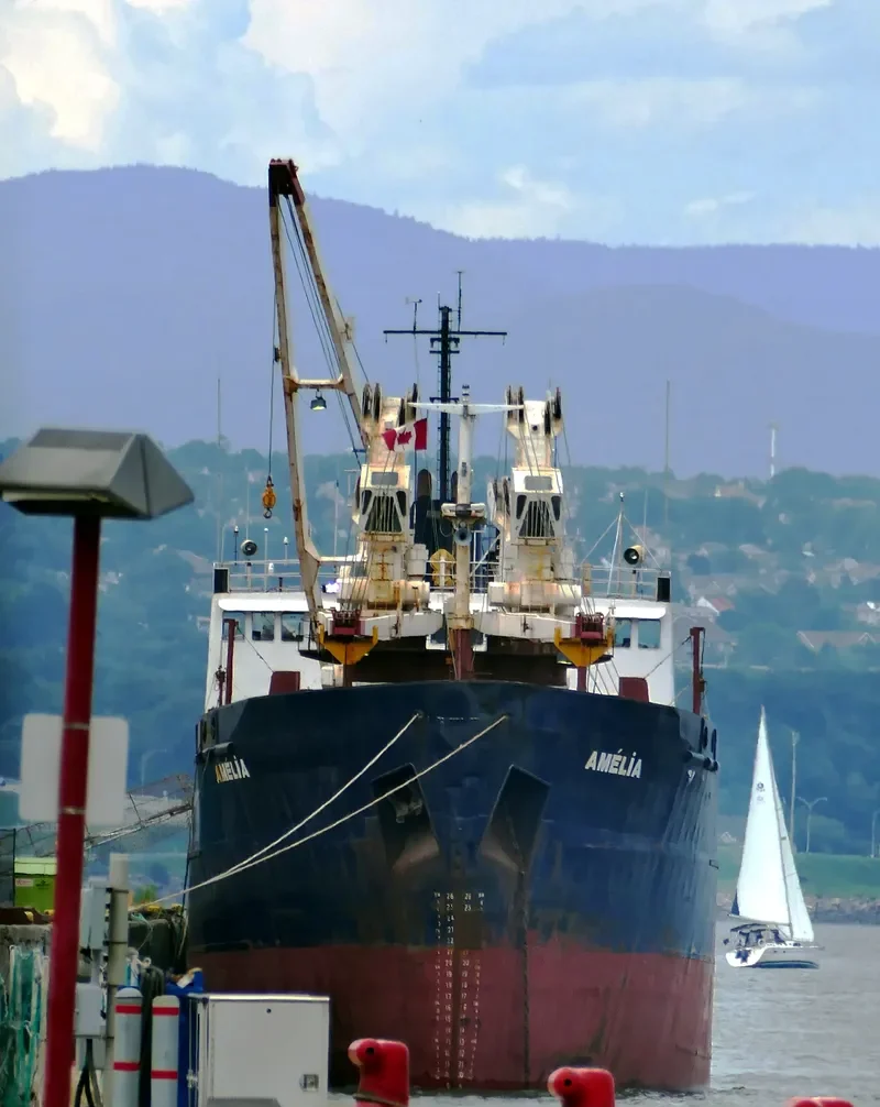 AMELIA DESGAGNES General Cargo IMO 7411167