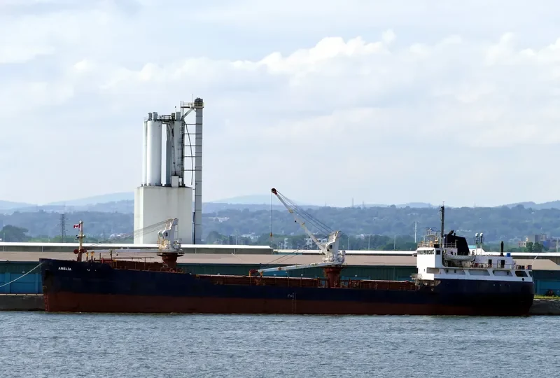AMELIA DESGAGNES General Cargo IMO 7411167 photo 4