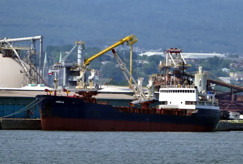 AMELIA DESGAGNES General Cargo IMO 7411167 photo 5