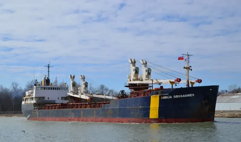 AMELIA DESGAGNES General Cargo IMO 7411167 photo 7