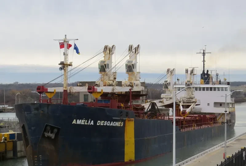 AMELIA DESGAGNES General Cargo IMO 7411167 photo 10