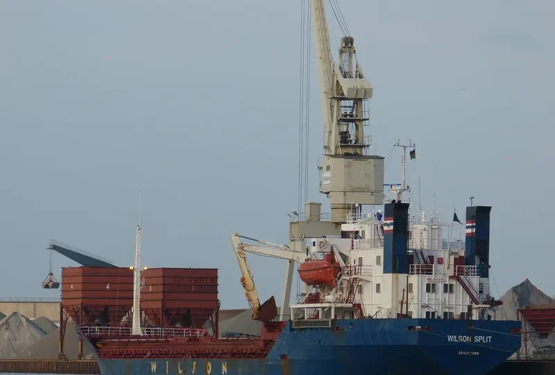 WILSON SPLIT Bulk Carrier IMO 7411375 photo 6