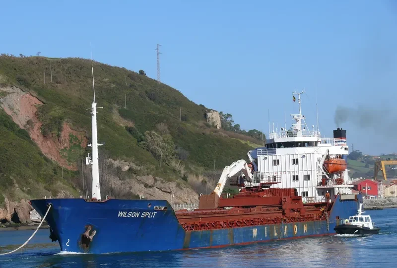 WILSON SPLIT Bulk Carrier IMO 7411375 photo 8