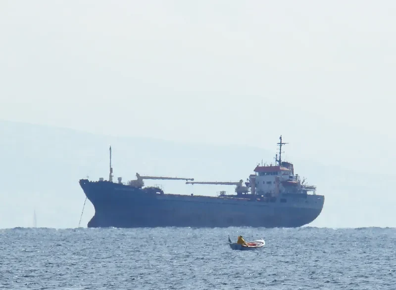 GOLDEN ELPIDA General Cargo IMO 7411583 photo 4