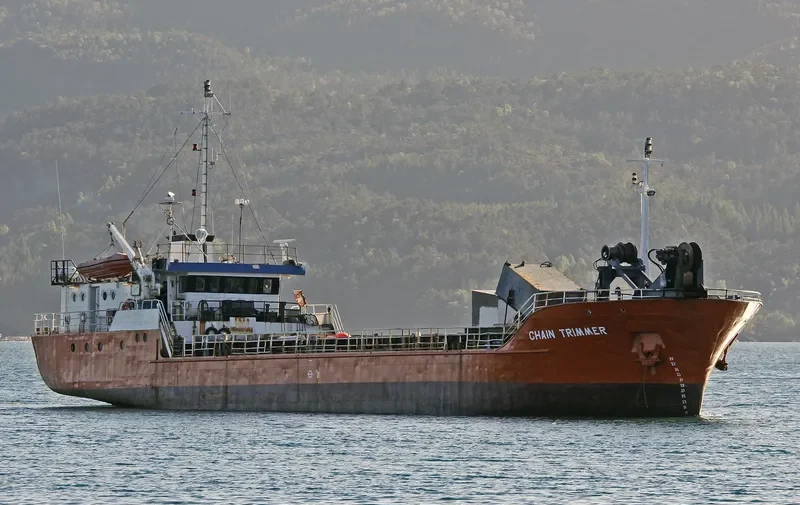 CHAIN TRIMMER General Cargo IMO 7411648 photo 4