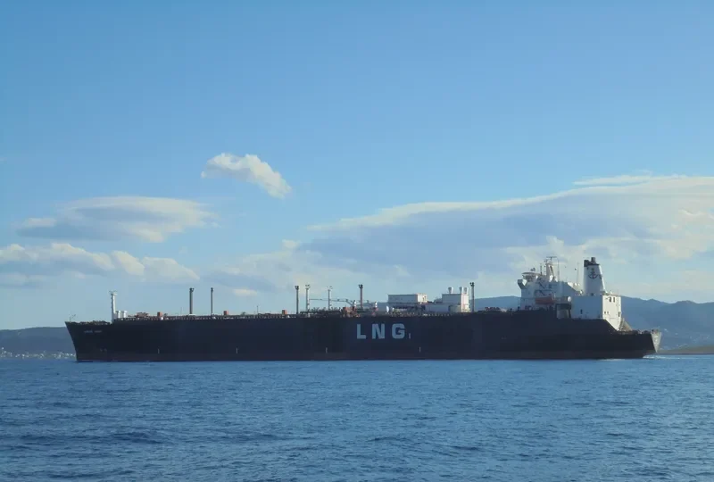 MADAME General Cargo IMO 7411961 photo 5