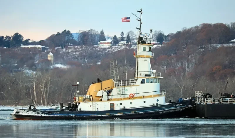 BROOKLYN General Cargo IMO 7412109 photo 2